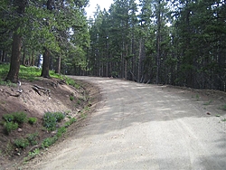 Leadville 100-columbine-early.jpg