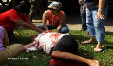 Man, Fl. Alligators are TOUGH!-gator.bmp