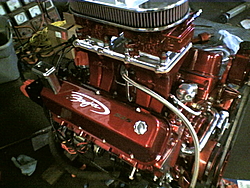 what motor u run?-baja-525.jpg