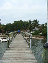 SARASOTA....New Years Day FUN RUN!!!!!-010108-012.jpg