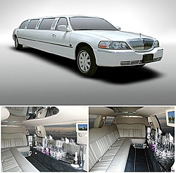 9th Annual NJPPC Atlantic City Boatshow Dinner &amp; Awards Party-limo.jpg