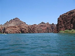 Help, Okie visiting Havasu!-100_0074.jpg