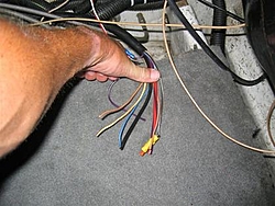 Pop Quiz on Wiring Looms-picture-125.jpg