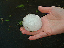 Wicked Hail Storm in So. MD.-hail1.jpg