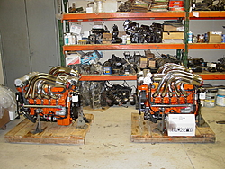 New vs slightly used Ilmor?-hustler-ilmors.jpg