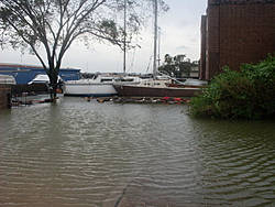 Some of Hurricane Ikes Nastiness-sdc10427.jpg