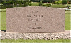 Sarasota poker run &quot;Cat Killer&quot; Fountain, got spanked-tombstone-cat-killer.jpg