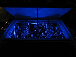 Whats the Difference ??  LED vs Neon in the Bilge-engine-neon-led-blue-10-08-096-large-.jpg