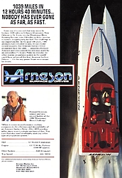 Arneson Cat-arneson-ad-1991.jpg