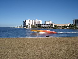 pics from ft. myers fun run today-mako-run-025.jpg