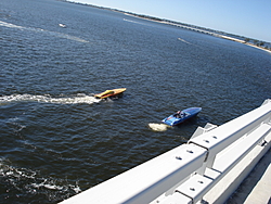 pics from ft. myers fun run today-mako-run-038.jpg