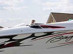 DOG's and BOATS, All PAWS on deck.-100_0307.jpg