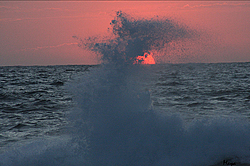 boats @ sunSet-sunset-roost.jpg