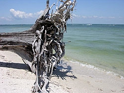 Boating, Cayo Costa &amp; Boca Grande Pass, FL.-dscn3810.jpg