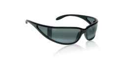 What Sun Glasses for Wind Protection? HELP-lrg444-02.png