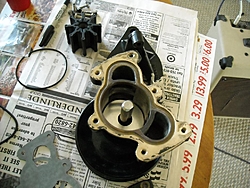 Raw water pump on 496, how long?-kit1.jpg