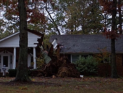 Nor-easter-tree-down-lakeview-shores.jpg