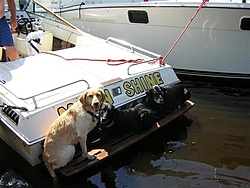 Dogs That Boat-dscn0304.jpg
