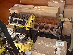 35 Motion Udderly Fantastic/CatCanDo restoration-117-engines.jpg