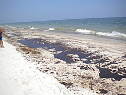 Oil spill in the gulf of Mexico-dscn0278.jpg