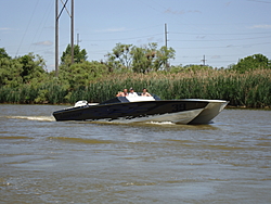 What happened to the &quot;None of your business&quot; Aronow cat that used to be in Key West?-dsc01417.jpg