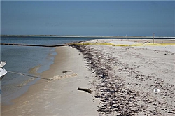 Oil spill in the gulf of Mexico-bp-3.jpg