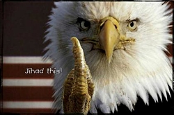 Patriotic pictures-ruffledeagle.jpg