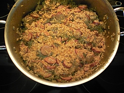 Young Performance Marine  A+-jambalaya-large-.jpg