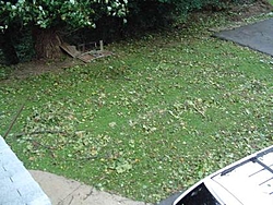 Hurricane Isabel....   The Morning After-h2.jpg