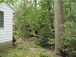 Hurricane Isabel....   The Morning After-h10.jpg