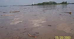 Potomac River Pics-potomac-junk1.jpg