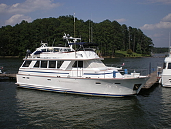 performance to cruiser-shelley-005.jpg