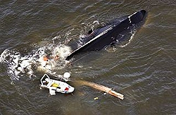 Hatteras bites the dust.....-mynewhatt.jpg