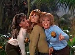 Mini Hawk-gilligans.jpg
