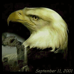 O T:  American Eagle-eagles01.gif
