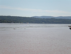 Hudson River Trashed-p8300076-medium-.jpg