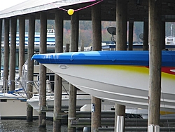 What would you do? Big Prehistoric Bird sheting on your Powerboat-bird-sheting-hustler-11-2011-014-large-.jpg