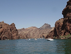 -havasu-poker-run-2011-79-.jpg