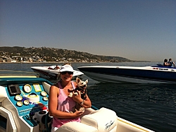 Boating Dog of the  week!-img_0187.jpg