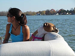 Boating Dog of the  week!-46563_10102308216183185_1141121208_n.jpg