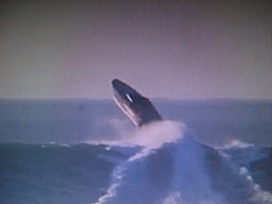Offshore boat jumping massive breaking waves at Ocean Beach, San Francisco-dsc03330.jpg
