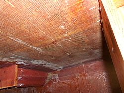 Super Hawaii "Super Sweet" Makeover-dscn2235.jpg