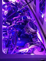 Engine Compartment Pics.  Lets see em.-white.jpg