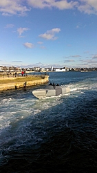 Seal invasion, Gloucester, Ma  ?-1452466_10152035853603329_729802730_n.jpg