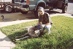 Deer Hunters-deer.jpg