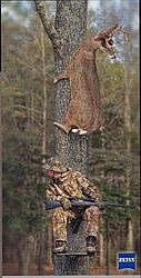 Deer Hunters-clemson-deer-hunter.jpg