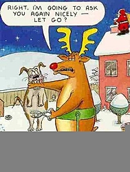 OT:  It's beginning to look a lot like Christmas...-reindeer.jpg