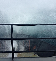 Bumpy ride in-image.jpg