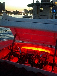 LEDs in BILGE-img_1312.jpg