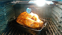 Happy thanksgiving-turkey-2-.jpg